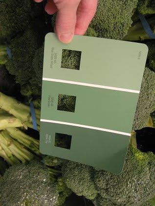 St. Patrick's Day Grocery Store Color Hunt - Broccoli