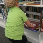 Looking at butterfly books in the library.