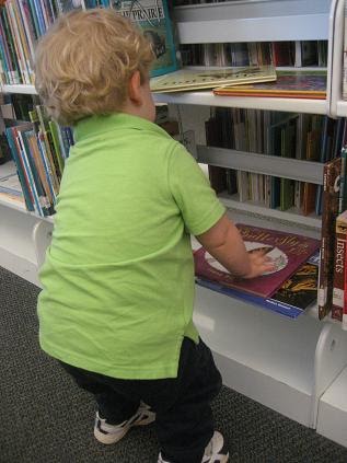 Looking at butterfly books in the library.