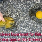 Science Experiment for Kids- Frying Eggs on the Driveway