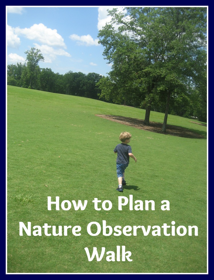 How to Plan a Nature Observation