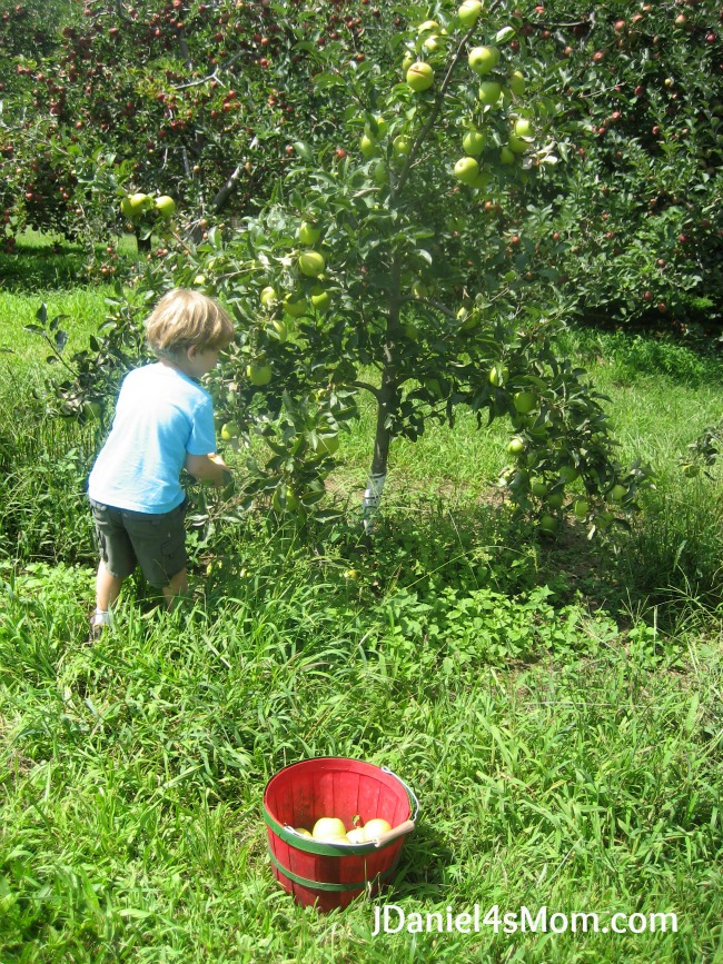 Outside Play- Apples and Apple Orchards Link Up