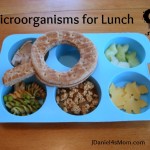 Particularly Loves Microorganisms Lunch for Kids