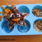 Starfish Muffin Tin Meal for Kids