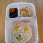 Lunch Idea- Fall Bento Lunch