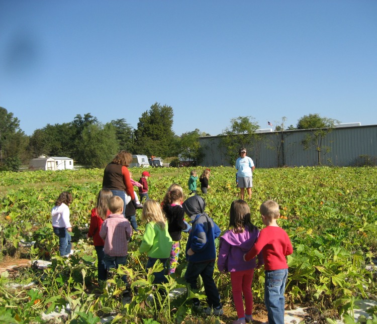 A Very Long Search for a Pumpkin in a Pumpkin Patch