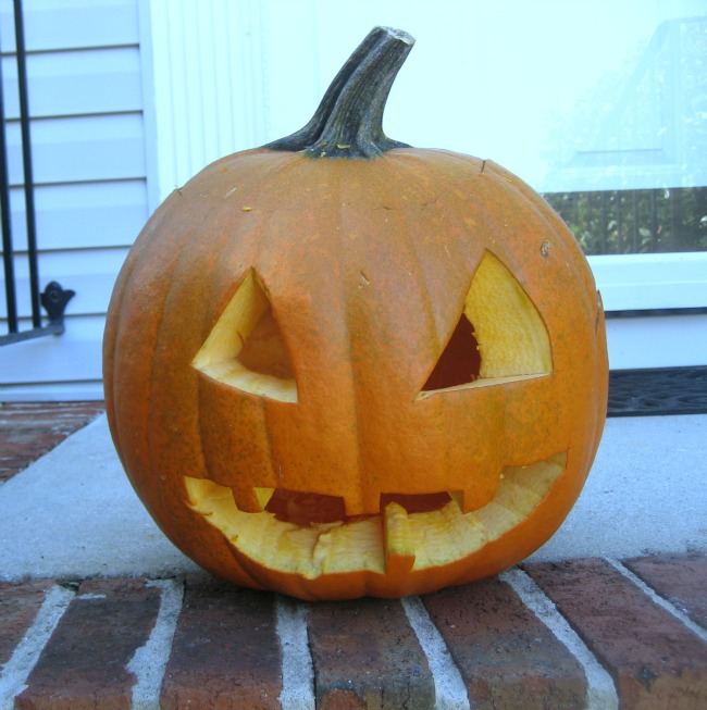 Carving Pumpkins From the Pumpkin's Point of View