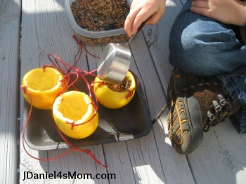 Homemade Bird Ornaments - Read.Explore.Learn.