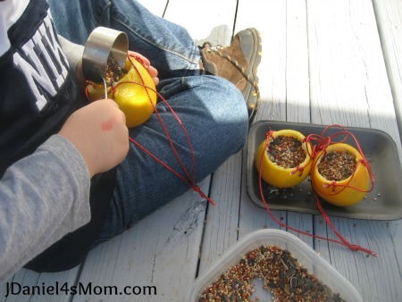 Homemade Bird Ornaments - Read.Explore.Learn.