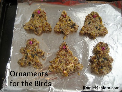 Homemade Bird Ornaments - Read.Explore.Learn.