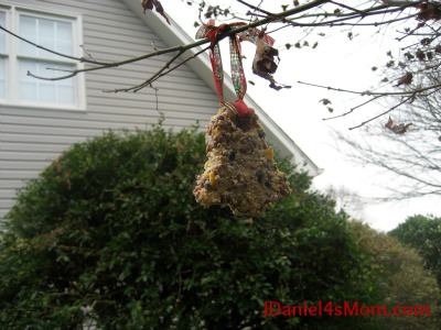 Homemade Bird Ornaments - Read.Explore.Learn.