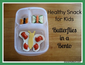 Healthy Snack for Kids - Butterflies in a Bento