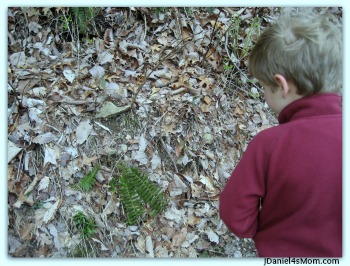 Tips for Hiking with Kids