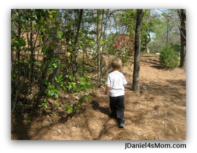 Nature for Kids - Observing Spring