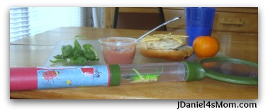 Cute Snack Idea - Tangram Rose and Microorganism Meal