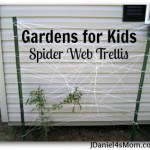 Gardens for Kids- Spider Web Trelling