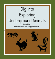 Science Projects} Underground Animals - Homemade Tunnels