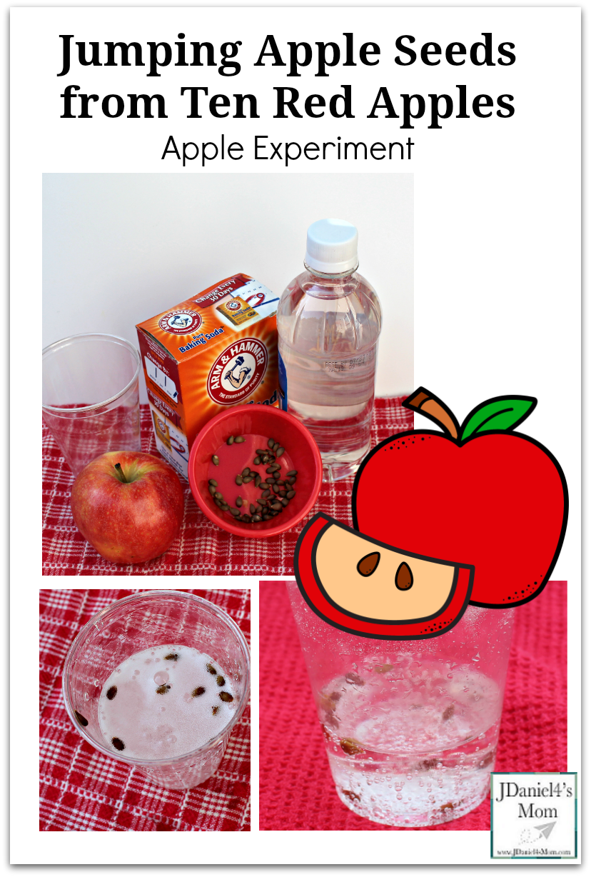 Jumping Apple Seeds from Ten Red Apples Apple Experiment for Kids of All Ages - Kids at home or students at school will love watching the chemical reaction in this STEM experiment.