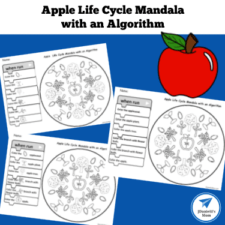 Apple Life Cycle Mandala with an Algorithm Small Square