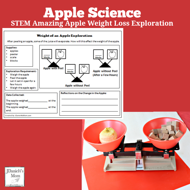 Apple Science STEM Amazing Apple Weigh Loss Exploration