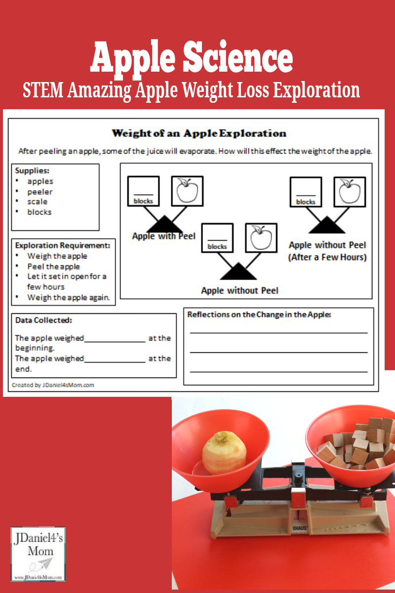 Apple Science- Apple Weight Loss - This apple experiment would fun to do as part of a fall apple unit or a study of Johnny Appleseed. Kids will love using an apple peeler and a scale to find the weigh loss of an apple. There is a free reflection and recording printable available.