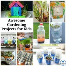 Awesome Gardening Projects for Kids