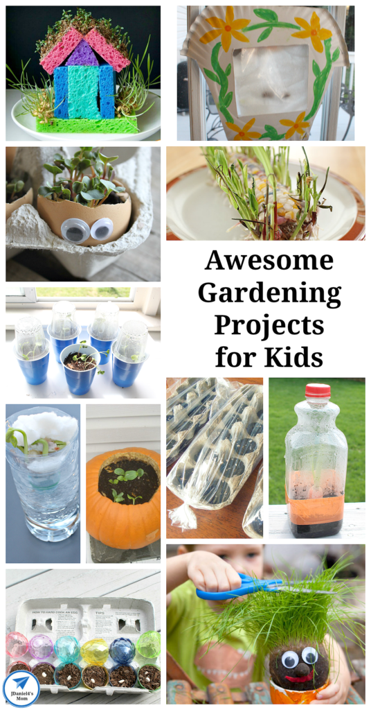 Garden Science Experiments