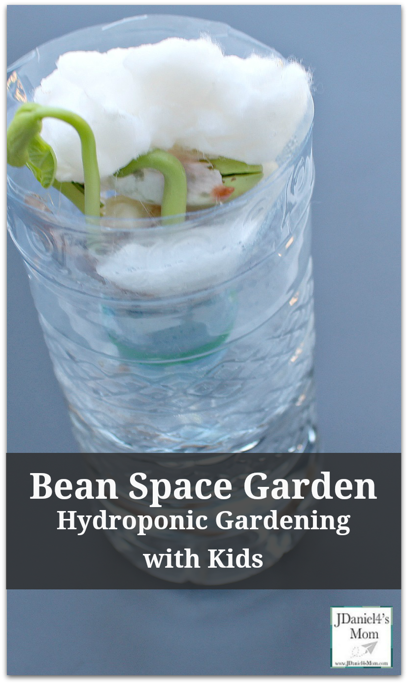 Hydroponic Gardening with Kids - Bean Space Garden : Kids will love watching the bean seed grow without soil and floating in space and growing! This would be fun to do during a gardening or space unit.