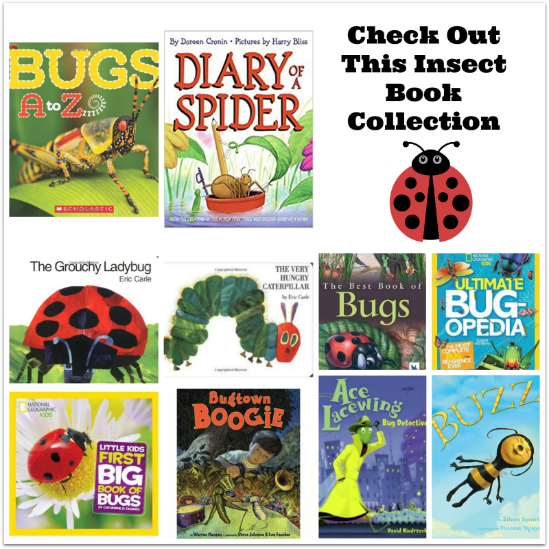 Check Out This Insect Book Collection