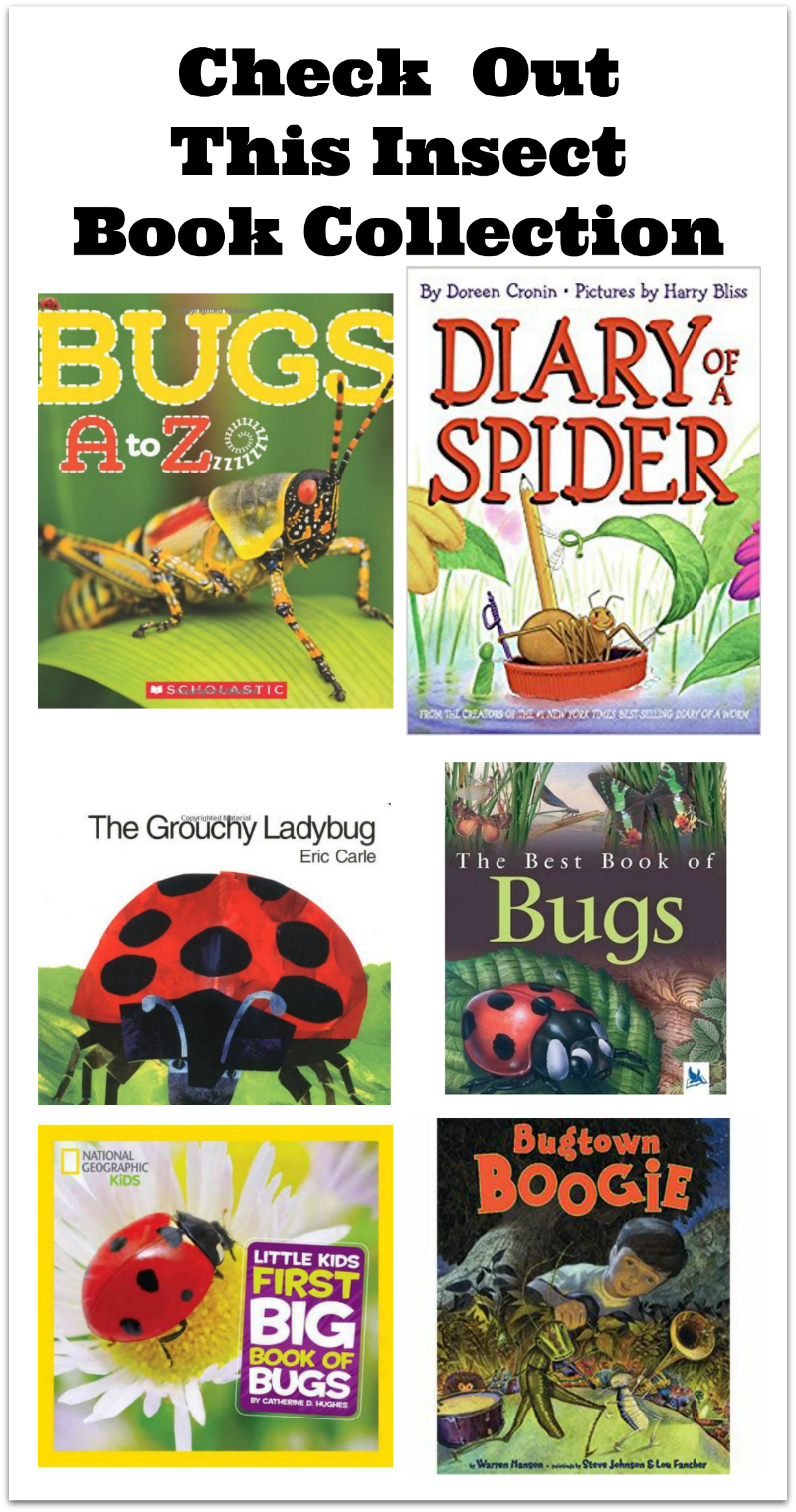 Check Out This Insect Book Collection