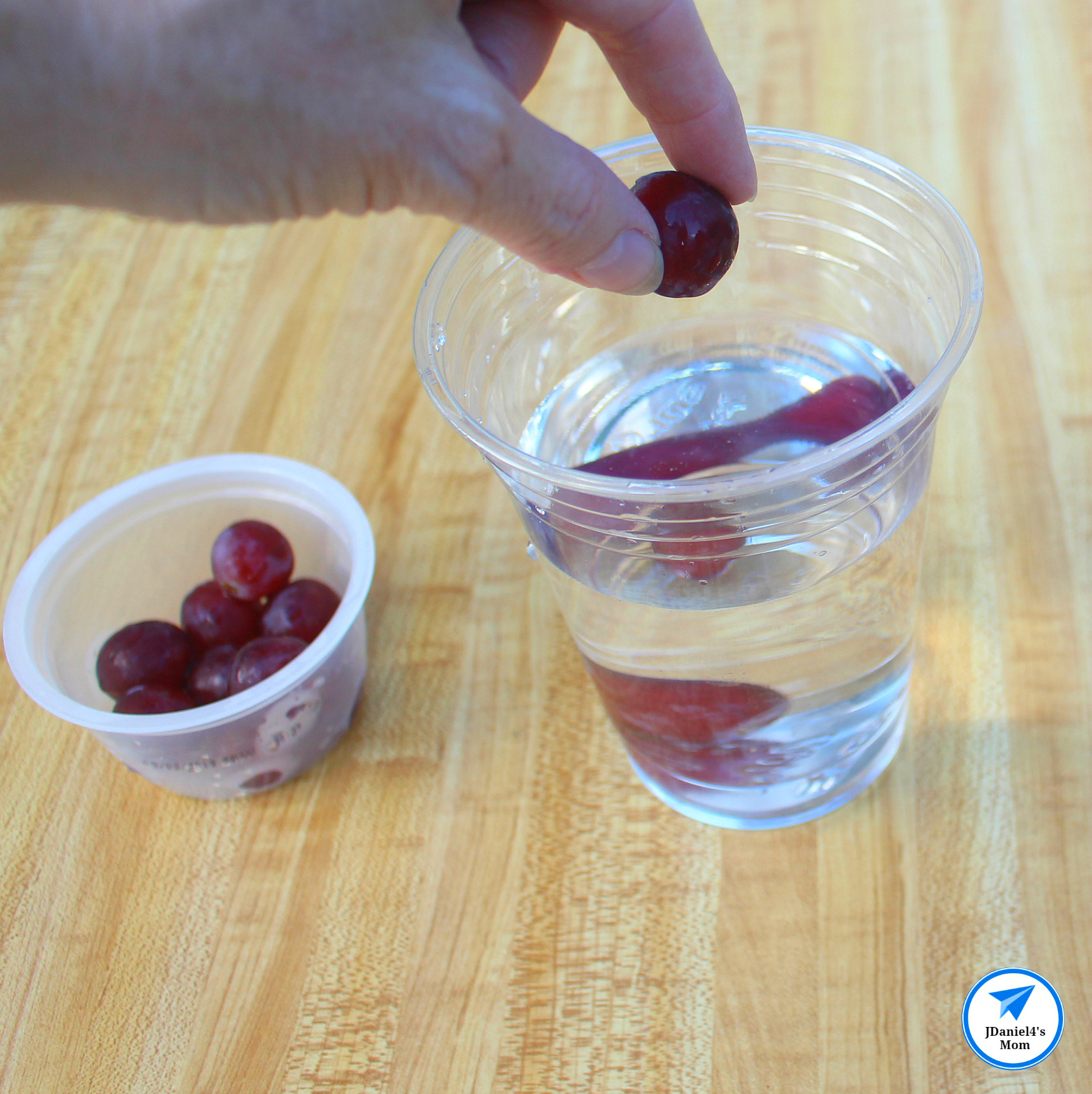 Do Grapes Sink or Float Sugar Water Density Experiment - Grapes are denser than the water.