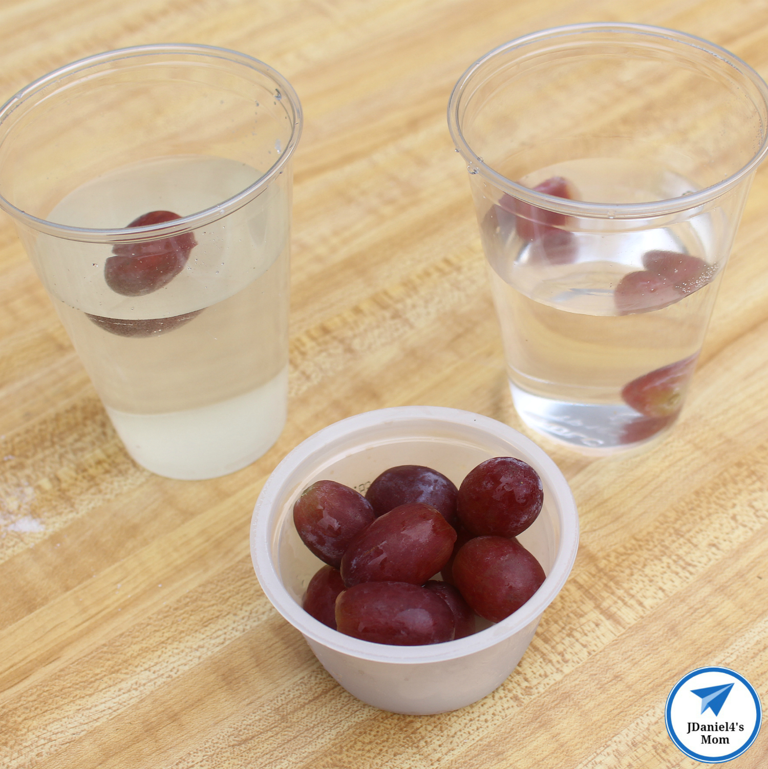 Do Grapes Sink or Float Sugar Water Density Experiment - One Floating Grape