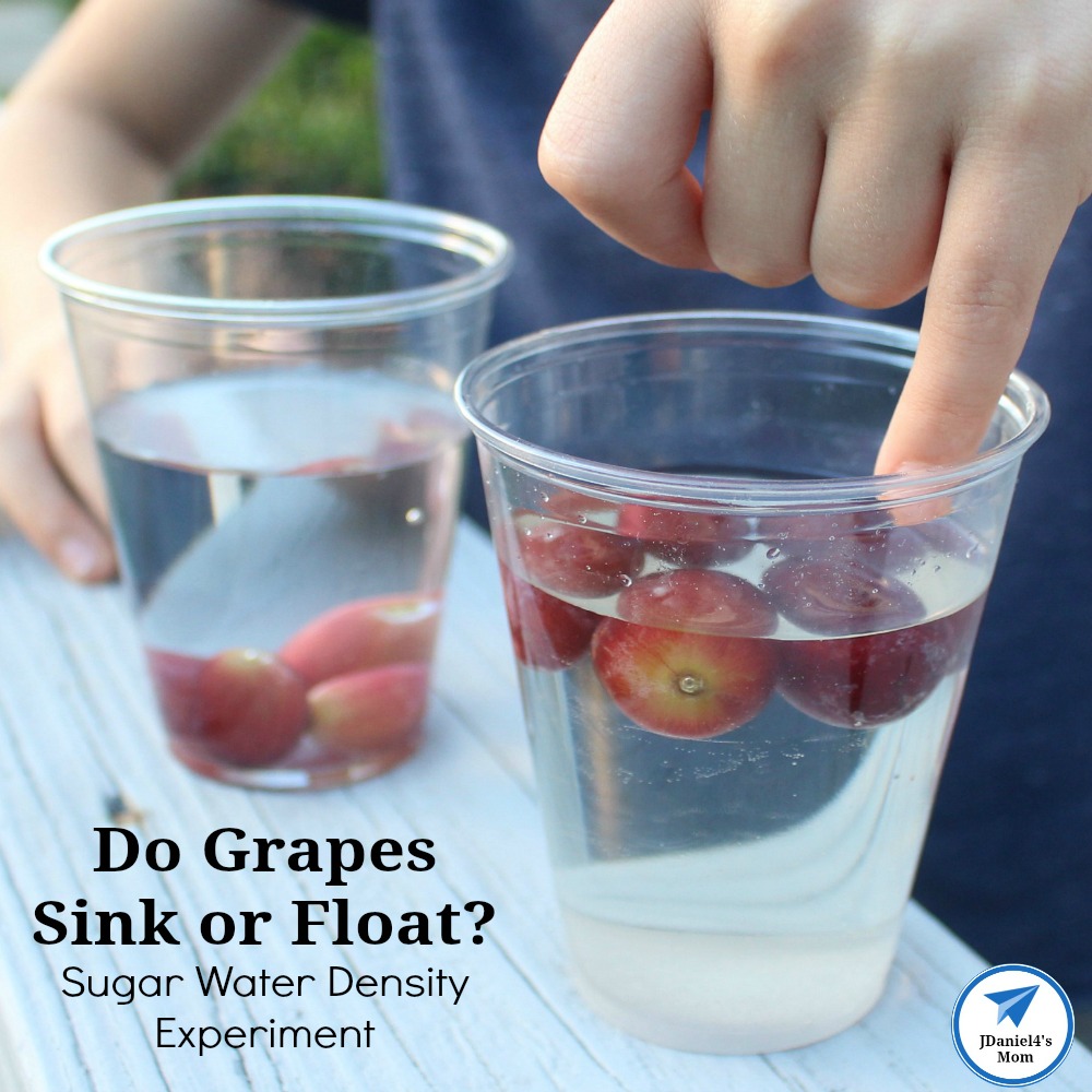 Do Grapes Sink of Float Sugar Water Density Experiment for Kids