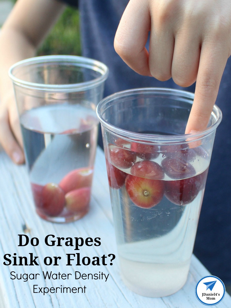 Your children at home and students at school will have fun figuring just how much sugar they will need to add to a glass of water to get grapes to float. Your children will ask to do this water density experiment over and over again. 