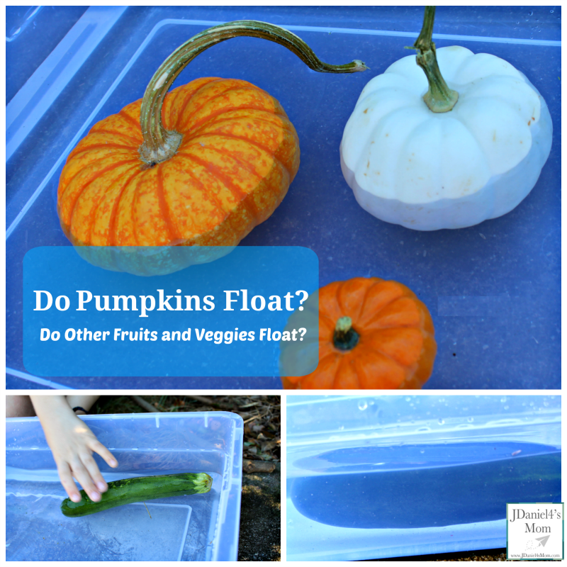 Do Pumpkins Float? Do Other Fruits and Veggies Float?