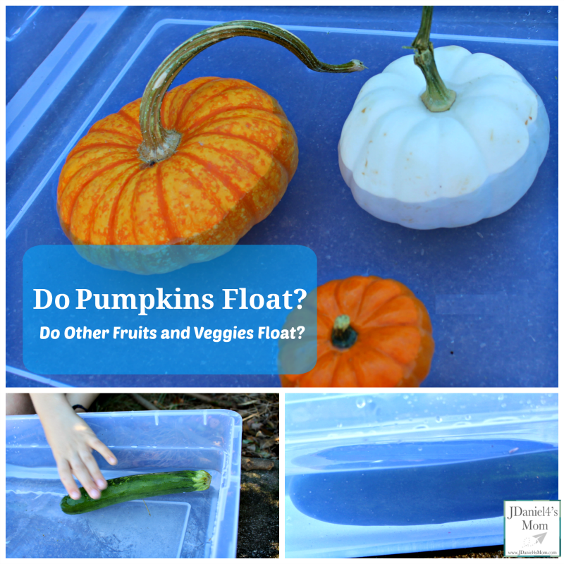 Do Pumpkins Float? Do Other Fruits and Veggies Float? Stop by and see what we learned in this STEM experiment.