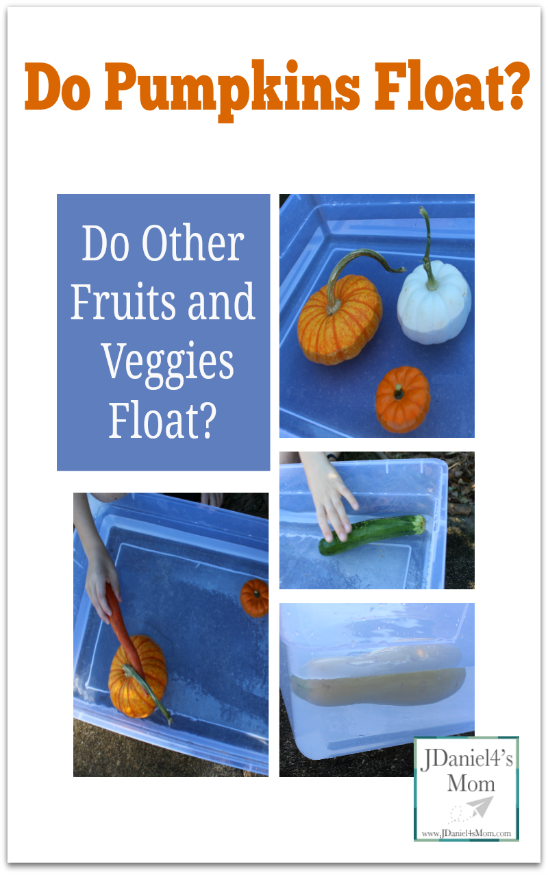 Do Pumpkins Float? Do Other Fruits and Veggies Float? Stop by and see what we learned in this STEM experiment.