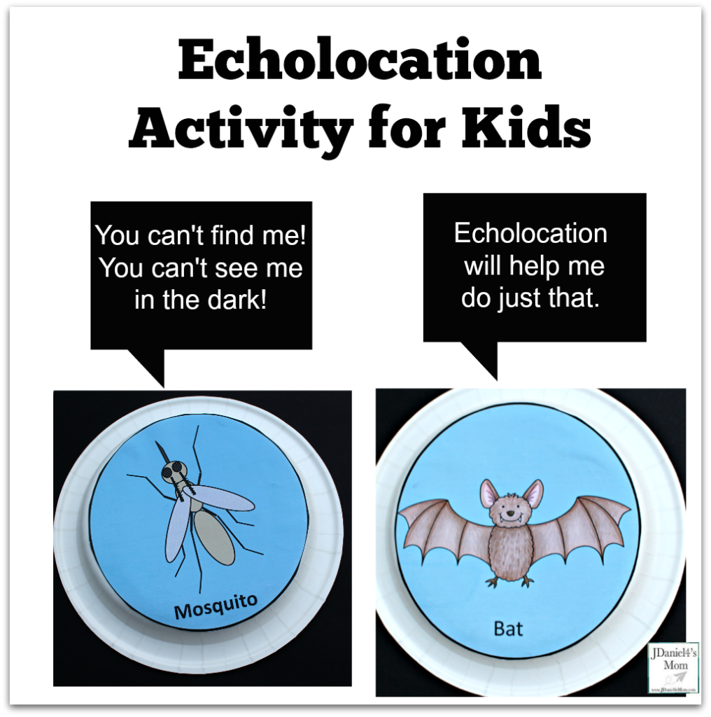 echolocation-activity-for-kids