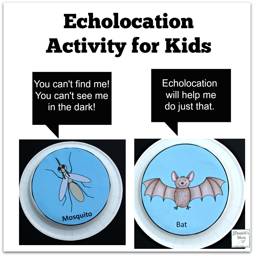 Echolocation Activity with Free Printables