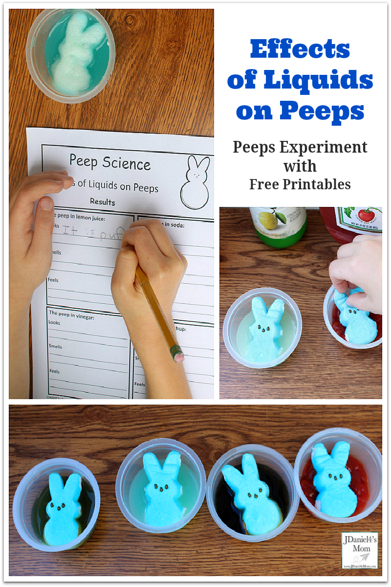 Effects of Liquids on Peeps - There are three printable experiment result sheets available.