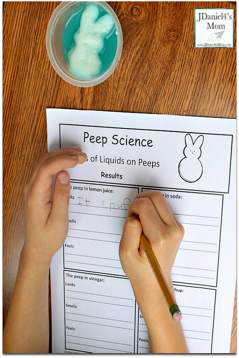 Effects of Liquids on Peeps - Recording Results