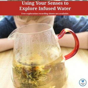 Exploring Your Senses with Infused Water - JDaniel4s Mom