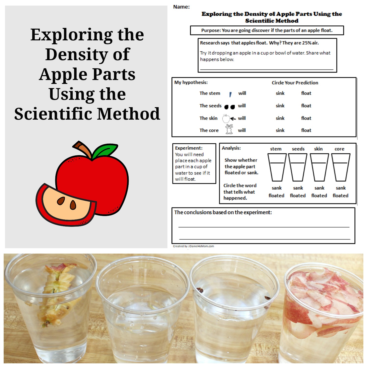 Exploring the Density of Apple Parts Using the Scientific Method In Scientific Method Worksheet Answer Key