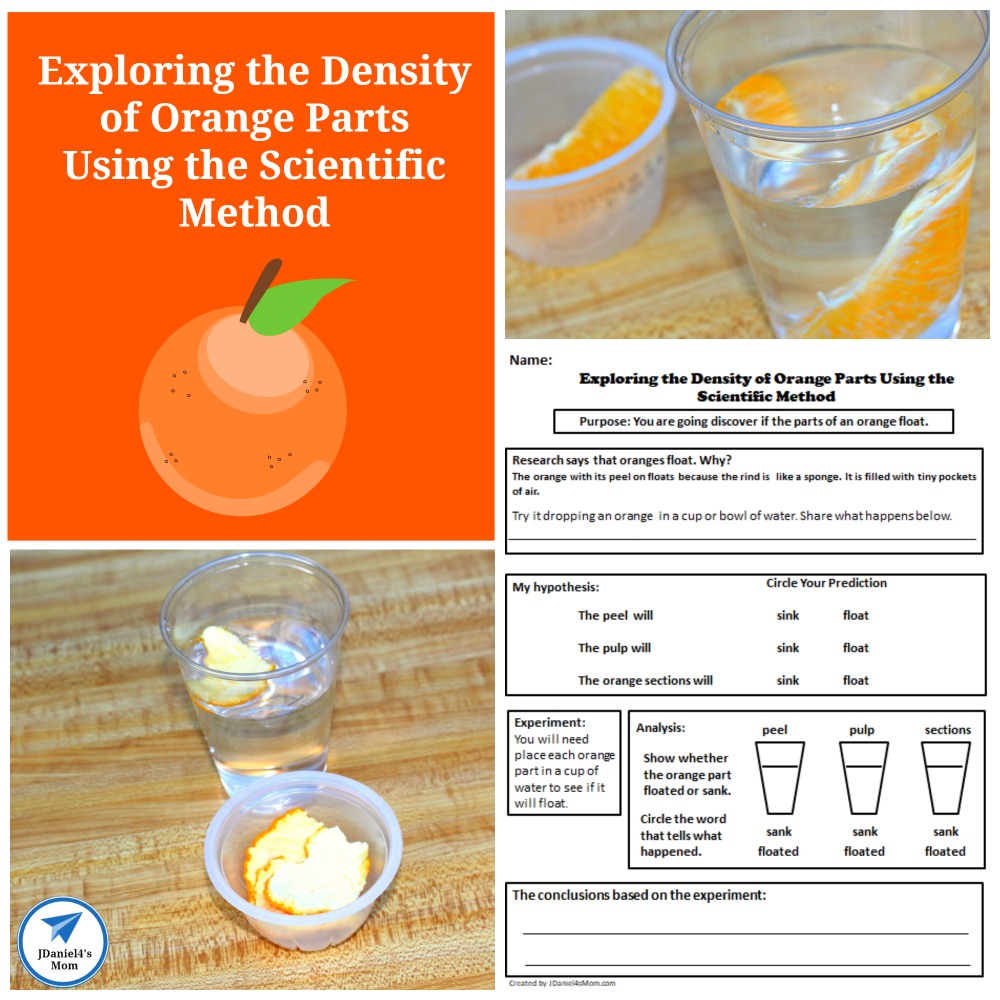 Exploring the Density of Orange Parts Using the Scientific Method Experiment and Free Experiment Worksheet