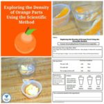 Exploring the Density of Orange Parts Using the Scientific Method