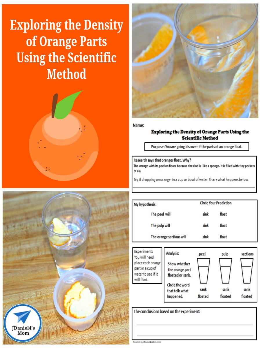 Exploring the Density of Orange Parts Using the Scientific Method 