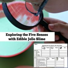 Exploring the Five Senses with Edible Jello Slime Featured