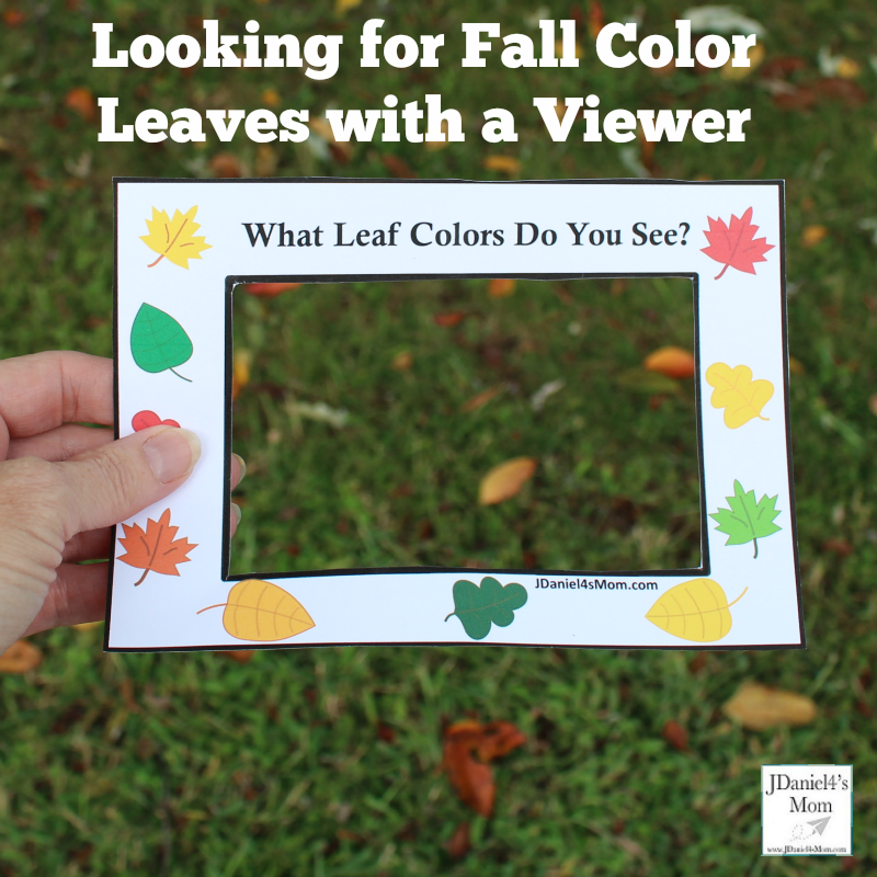 Fall Leaf Colors Viewer Printable