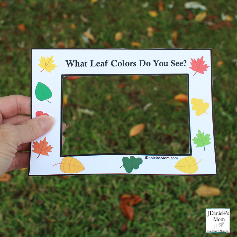 Fall Leaf Colors Viewer - Children at home or students at school can used these viewers to look for fall color leaves on the ground, in bushes or in trees. This is a great way to work on colors.