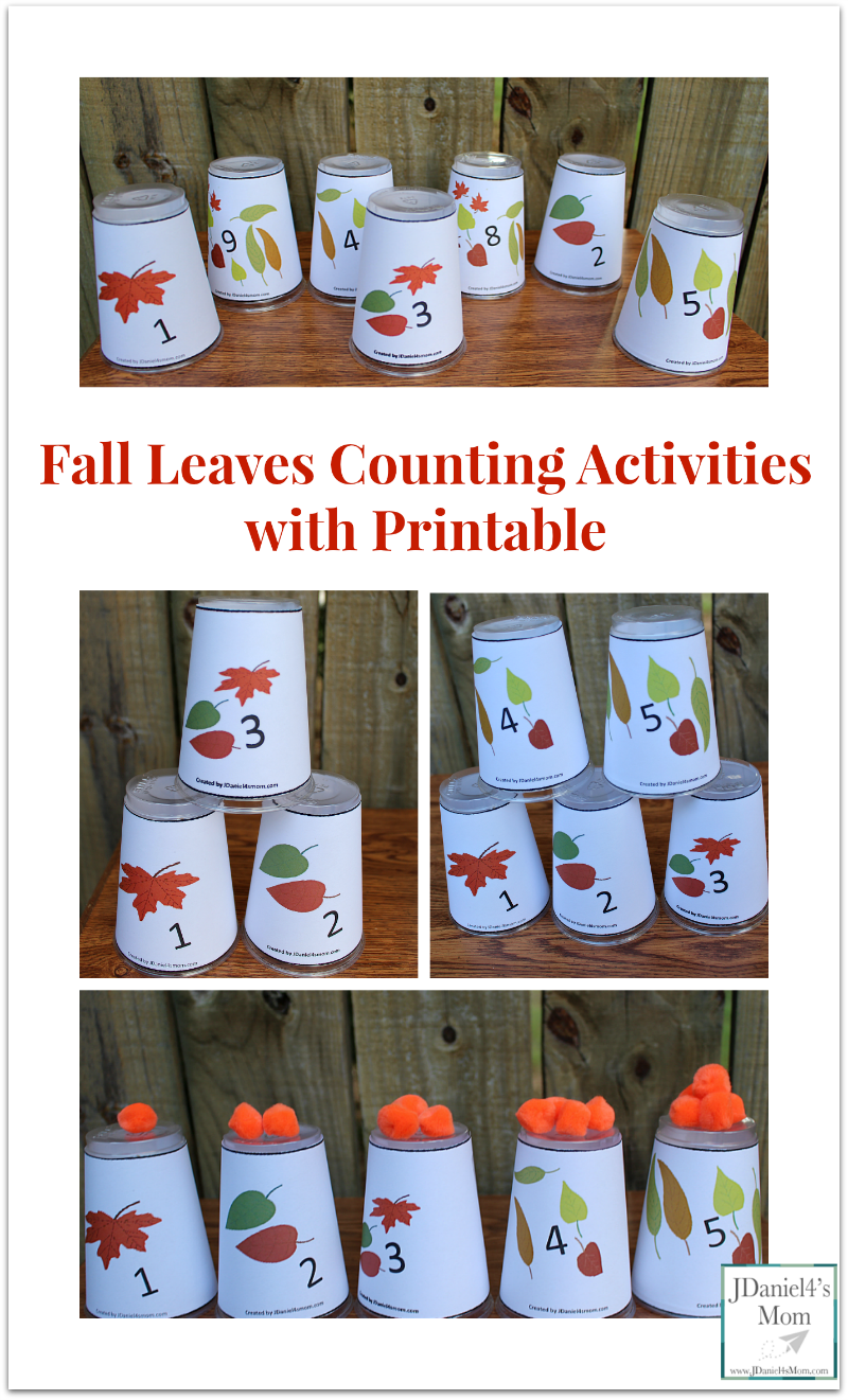 Fall Leaves Counting Activities with Printable- There are a lot of number games you can play with these cups.